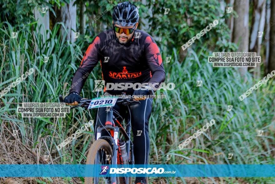 Circuito AEJ de Mountain Bike 2022