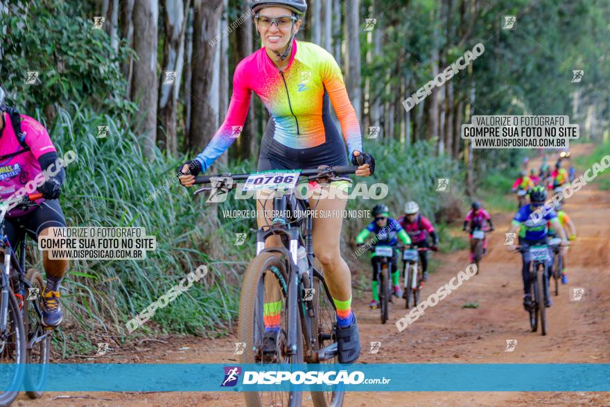 Circuito AEJ de Mountain Bike 2022