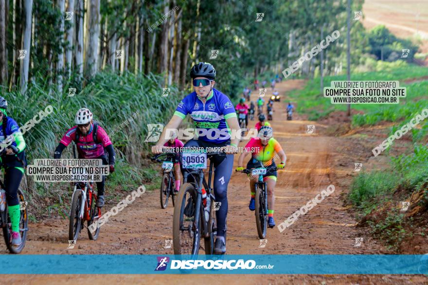 Circuito AEJ de Mountain Bike 2022