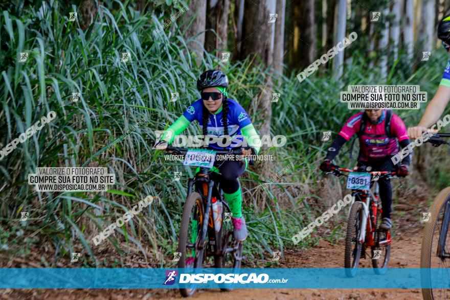 Circuito AEJ de Mountain Bike 2022