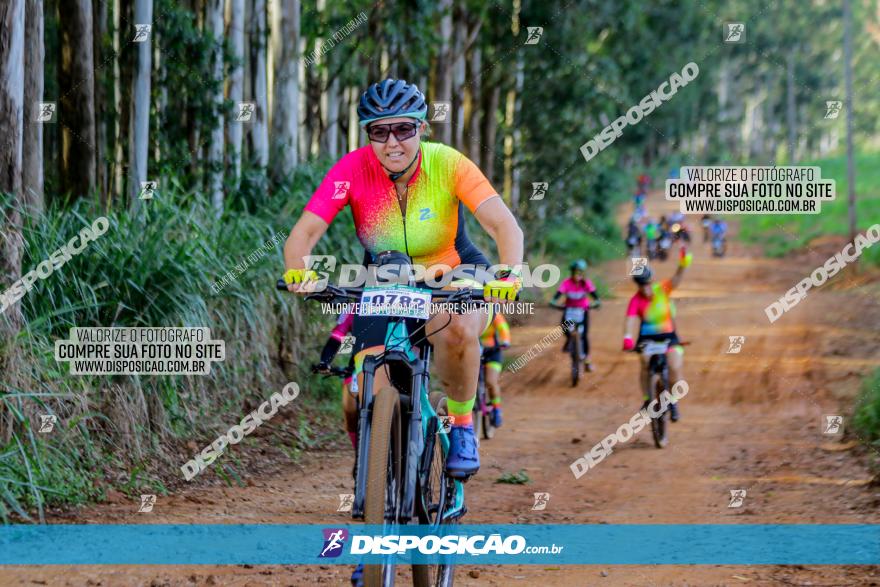 Circuito AEJ de Mountain Bike 2022