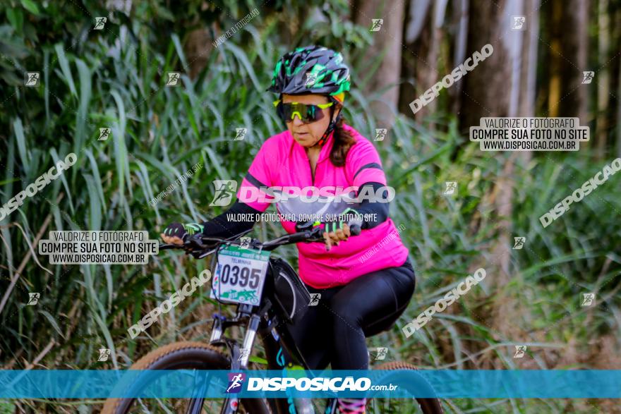 Circuito AEJ de Mountain Bike 2022