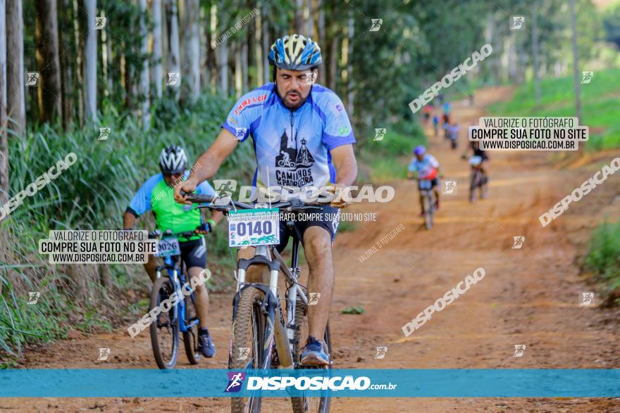 Circuito AEJ de Mountain Bike 2022