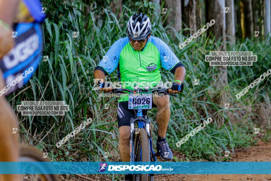 Circuito AEJ de Mountain Bike 2022