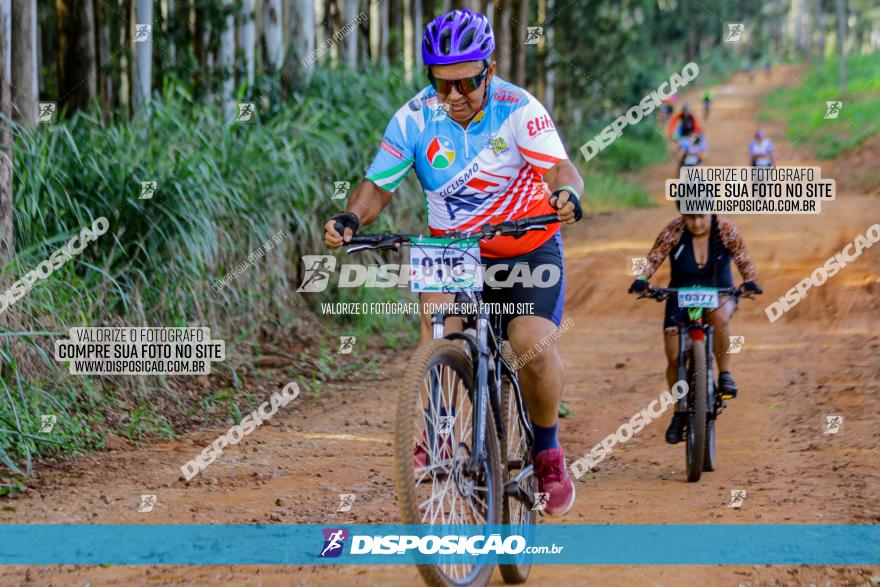 Circuito AEJ de Mountain Bike 2022