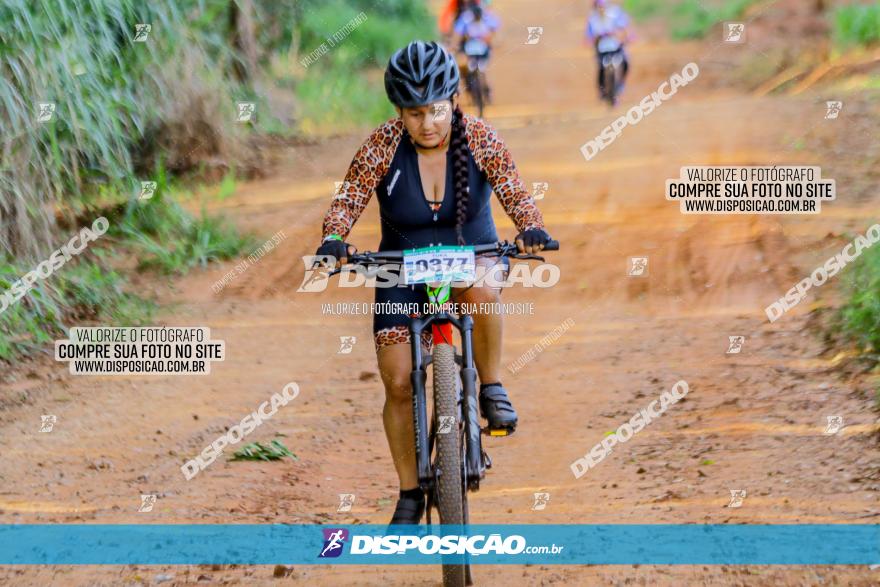 Circuito AEJ de Mountain Bike 2022