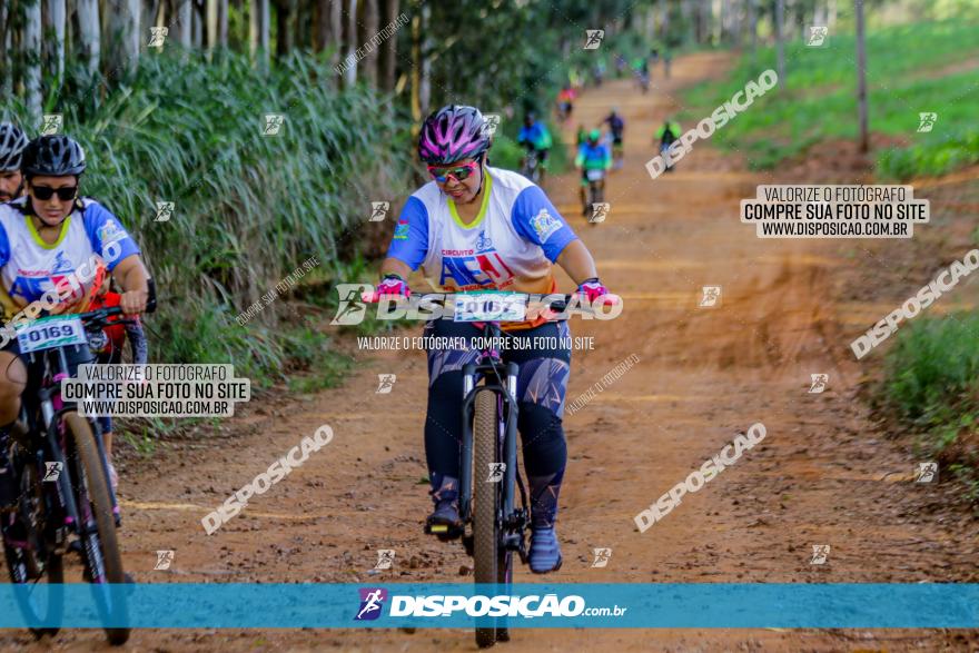 Circuito AEJ de Mountain Bike 2022