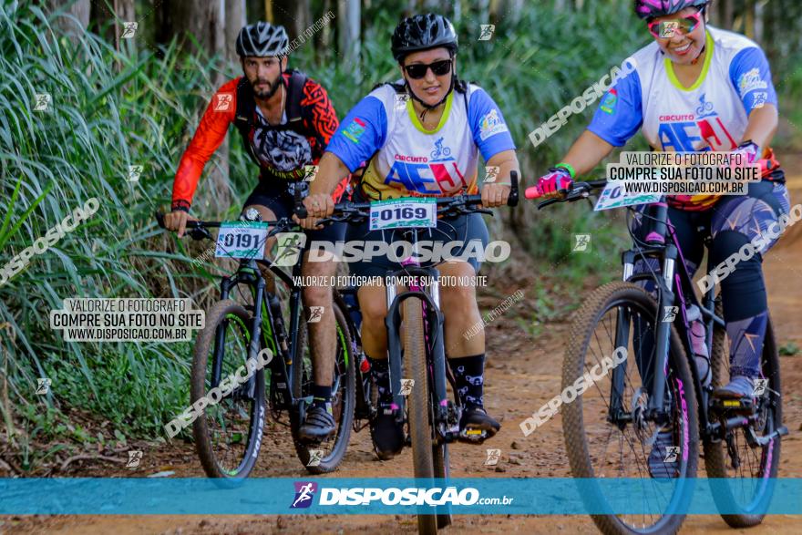 Circuito AEJ de Mountain Bike 2022