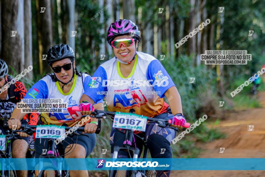 Circuito AEJ de Mountain Bike 2022