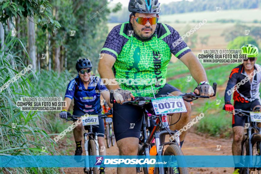 Circuito AEJ de Mountain Bike 2022