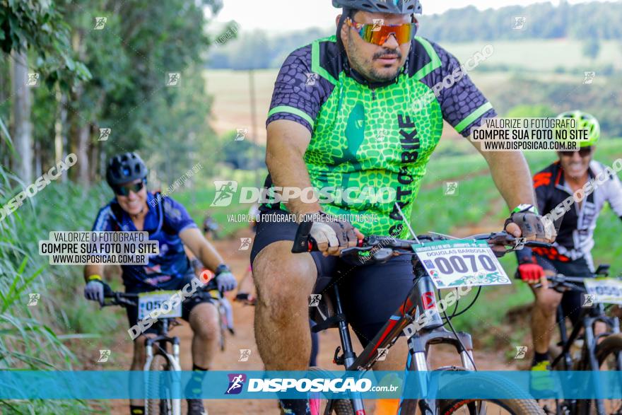 Circuito AEJ de Mountain Bike 2022