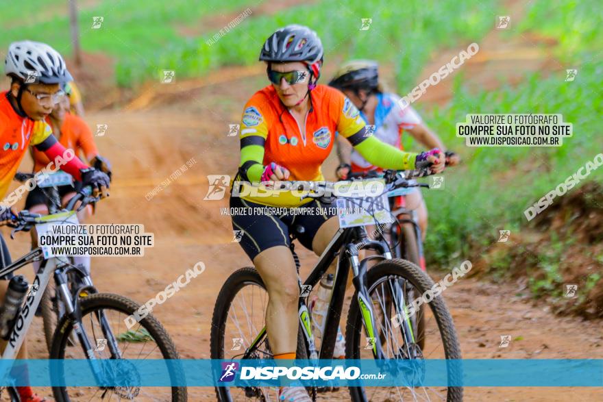 Circuito AEJ de Mountain Bike 2022