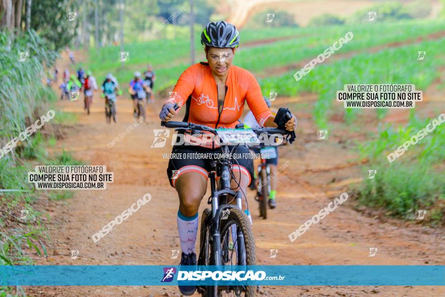 Circuito AEJ de Mountain Bike 2022