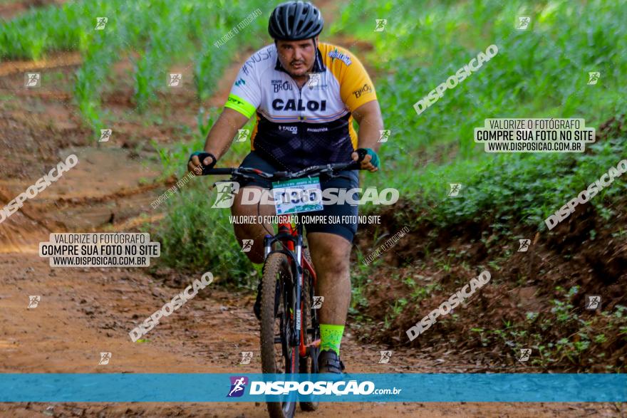 Circuito AEJ de Mountain Bike 2022