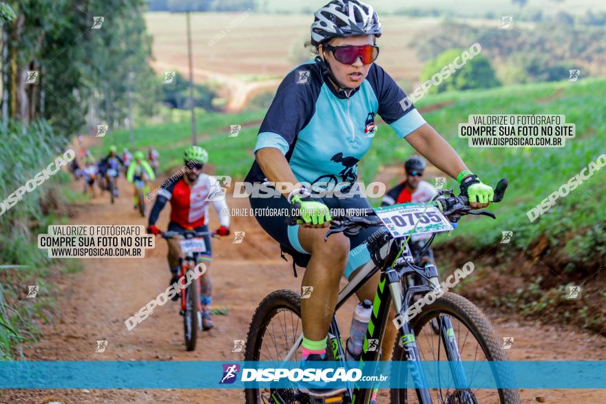 Circuito AEJ de Mountain Bike 2022