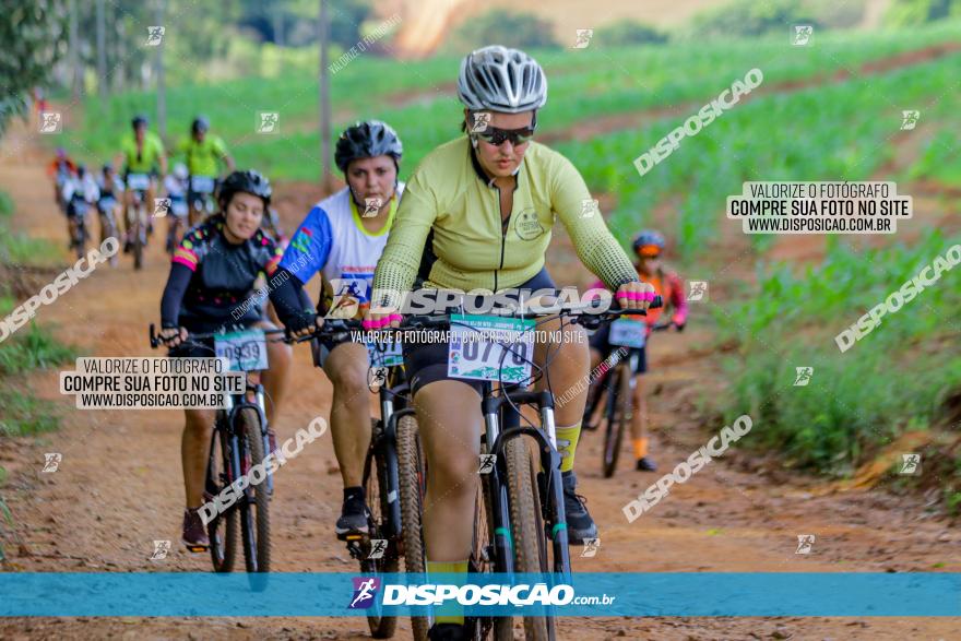 Circuito AEJ de Mountain Bike 2022