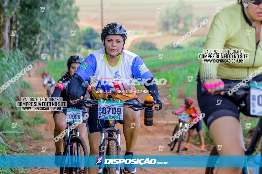 Circuito AEJ de Mountain Bike 2022