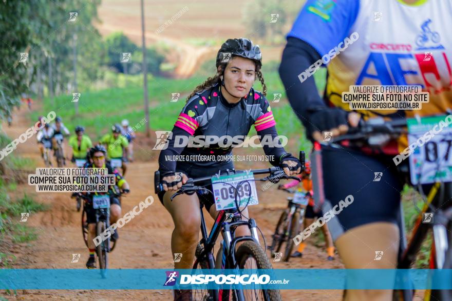 Circuito AEJ de Mountain Bike 2022