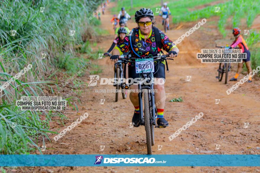 Circuito AEJ de Mountain Bike 2022