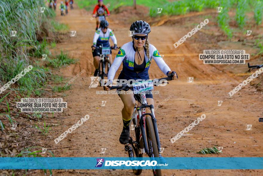 Circuito AEJ de Mountain Bike 2022