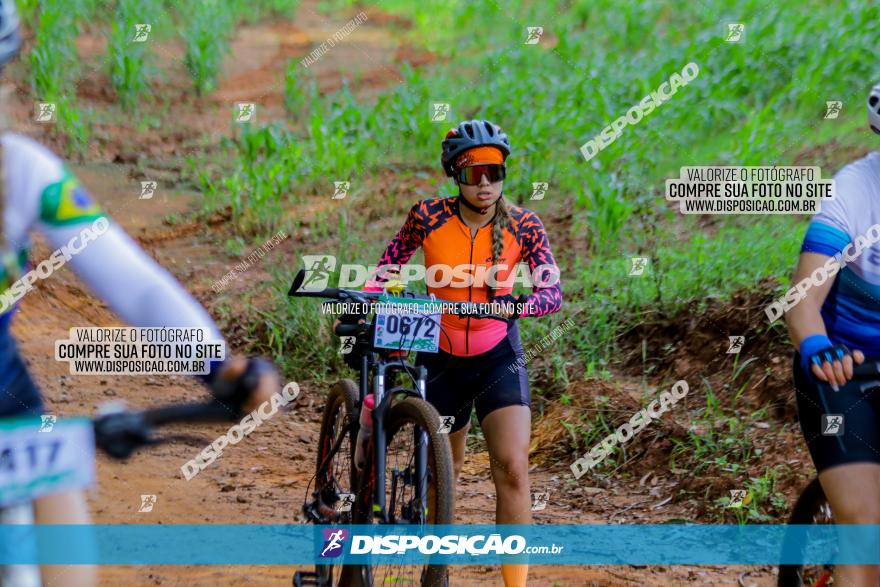 Circuito AEJ de Mountain Bike 2022