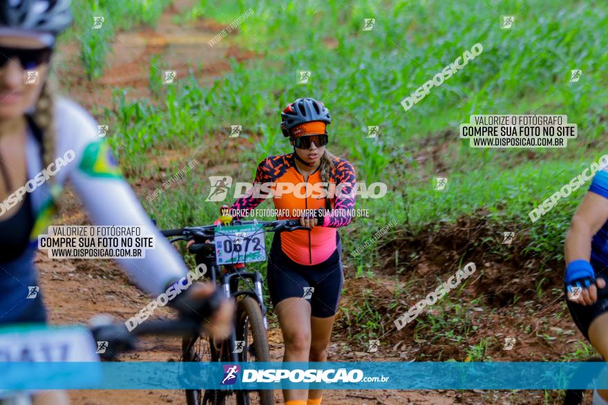 Circuito AEJ de Mountain Bike 2022