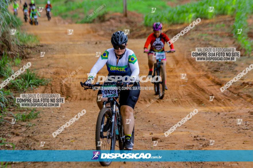 Circuito AEJ de Mountain Bike 2022