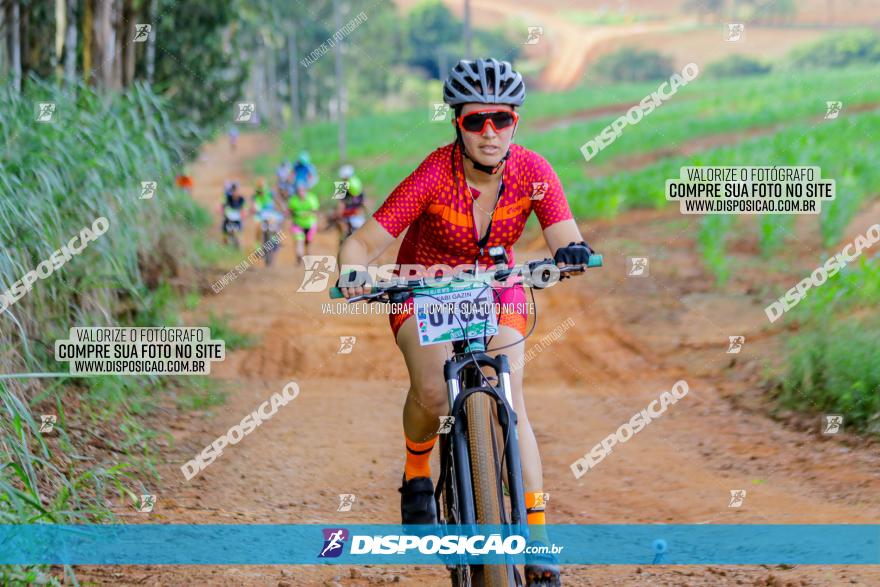 Circuito AEJ de Mountain Bike 2022