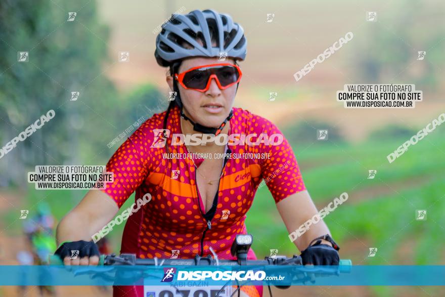 Circuito AEJ de Mountain Bike 2022