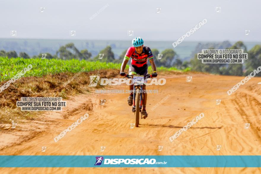 Circuito AEJ de Mountain Bike 2022