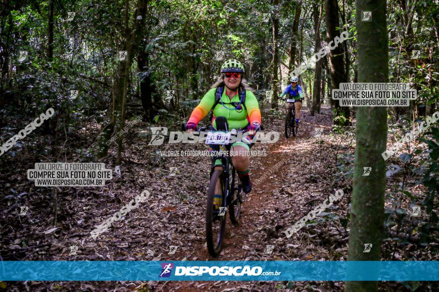 Circuito AEJ de Mountain Bike 2022