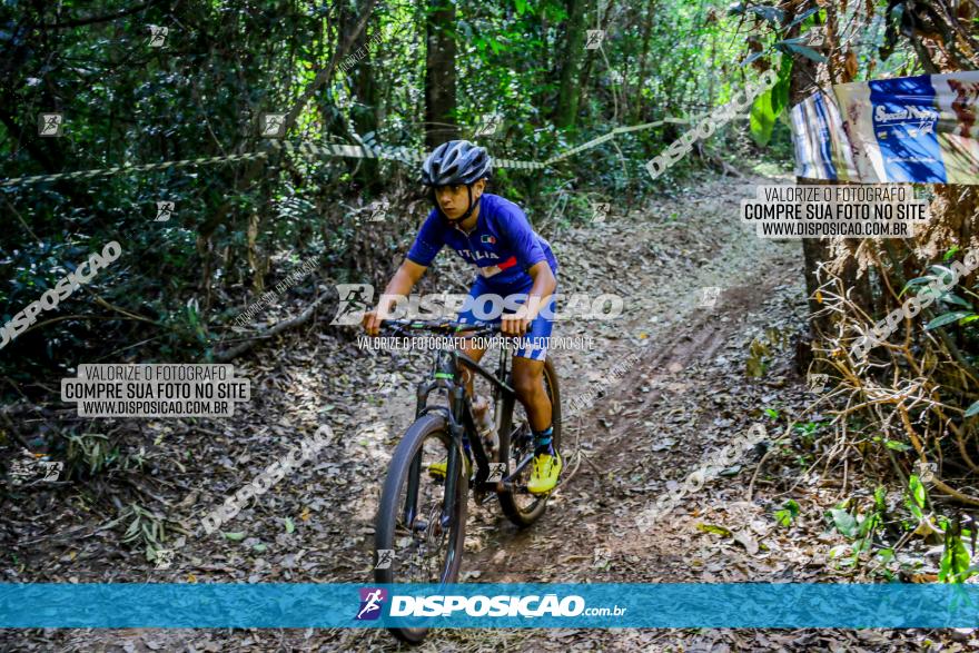 Circuito AEJ de Mountain Bike 2022