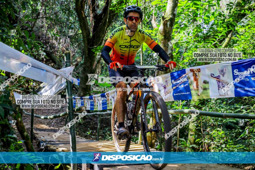 Circuito AEJ de Mountain Bike 2022