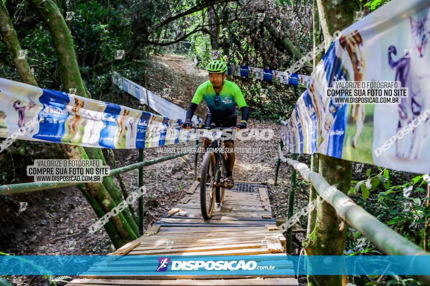 Circuito AEJ de Mountain Bike 2022