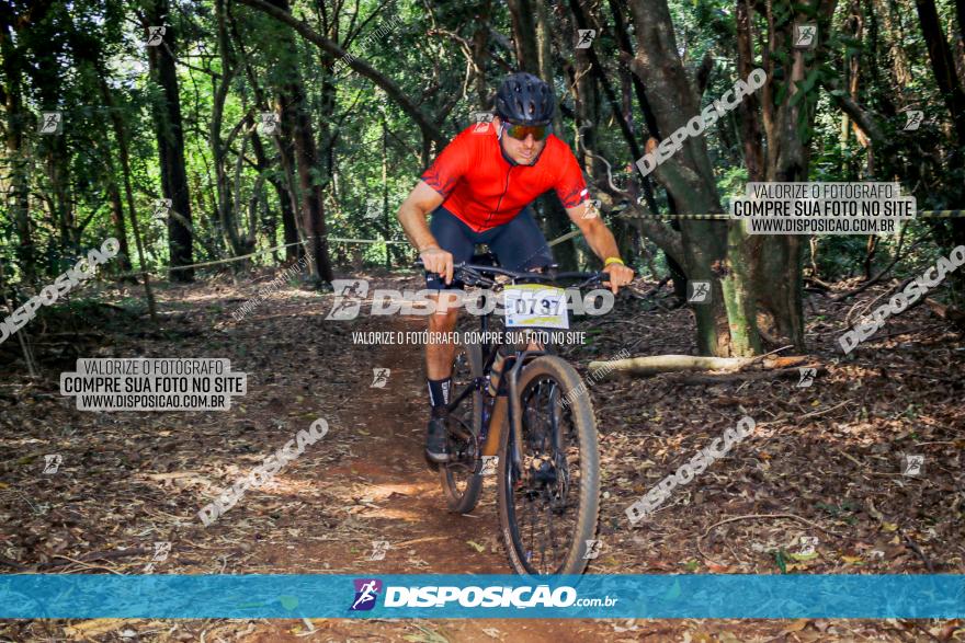 Circuito AEJ de Mountain Bike 2022