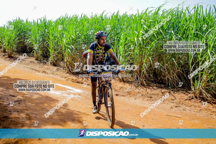 Circuito AEJ de Mountain Bike 2022