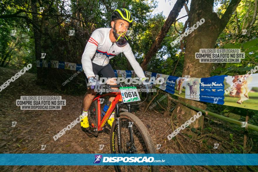 Circuito AEJ de Mountain Bike 2022