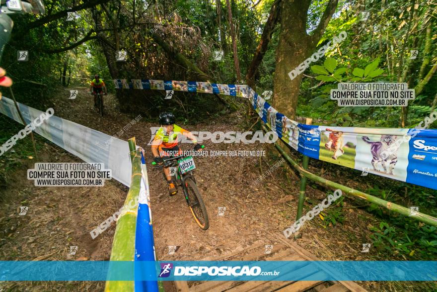 Circuito AEJ de Mountain Bike 2022