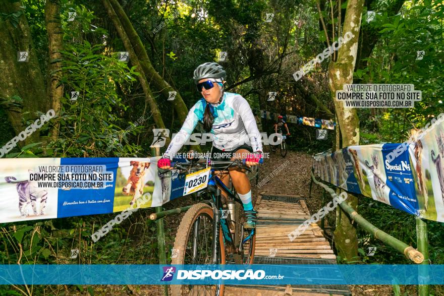 Circuito AEJ de Mountain Bike 2022