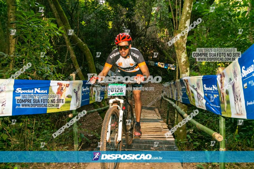 Circuito AEJ de Mountain Bike 2022