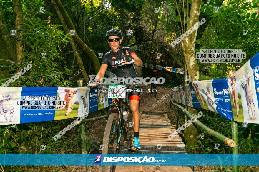 Circuito AEJ de Mountain Bike 2022