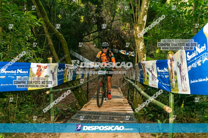 Circuito AEJ de Mountain Bike 2022