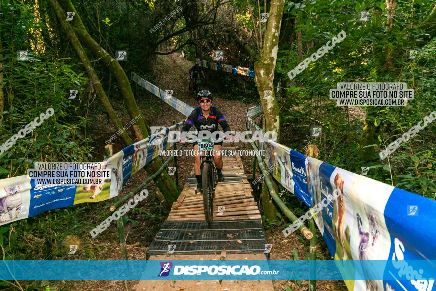 Circuito AEJ de Mountain Bike 2022