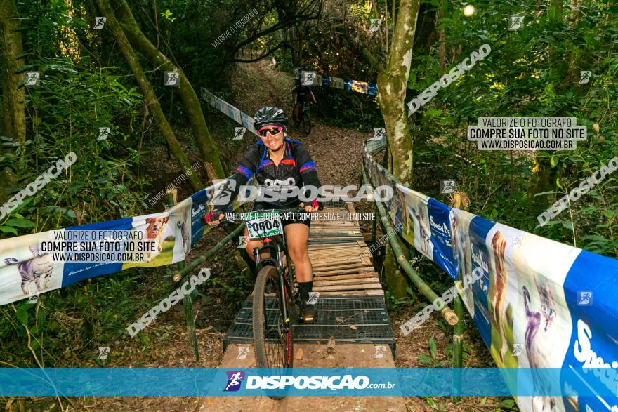 Circuito AEJ de Mountain Bike 2022