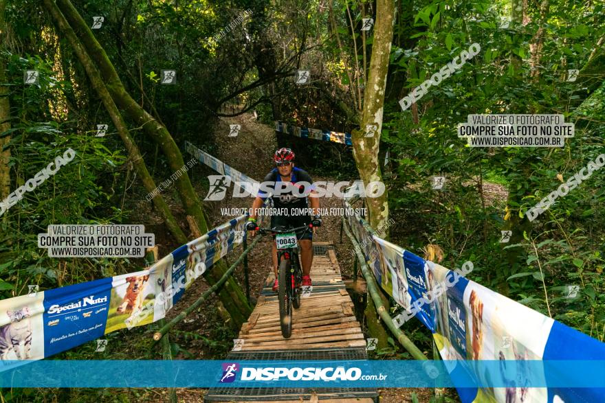 Circuito AEJ de Mountain Bike 2022