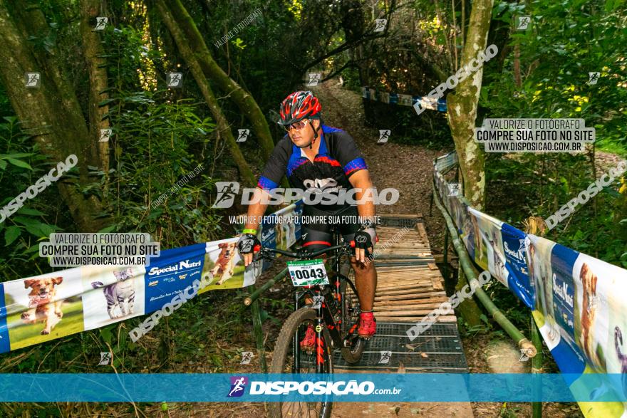 Circuito AEJ de Mountain Bike 2022