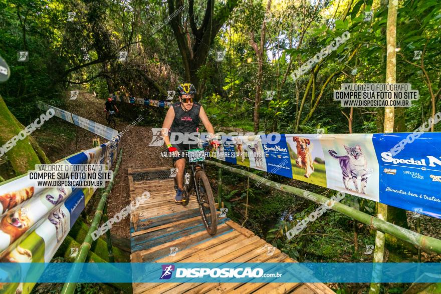 Circuito AEJ de Mountain Bike 2022