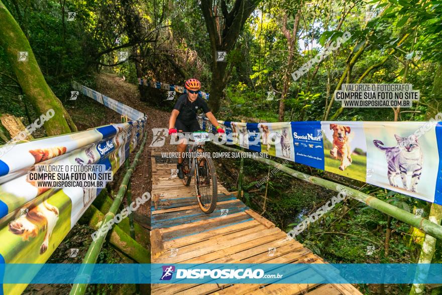 Circuito AEJ de Mountain Bike 2022