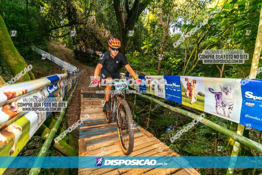 Circuito AEJ de Mountain Bike 2022