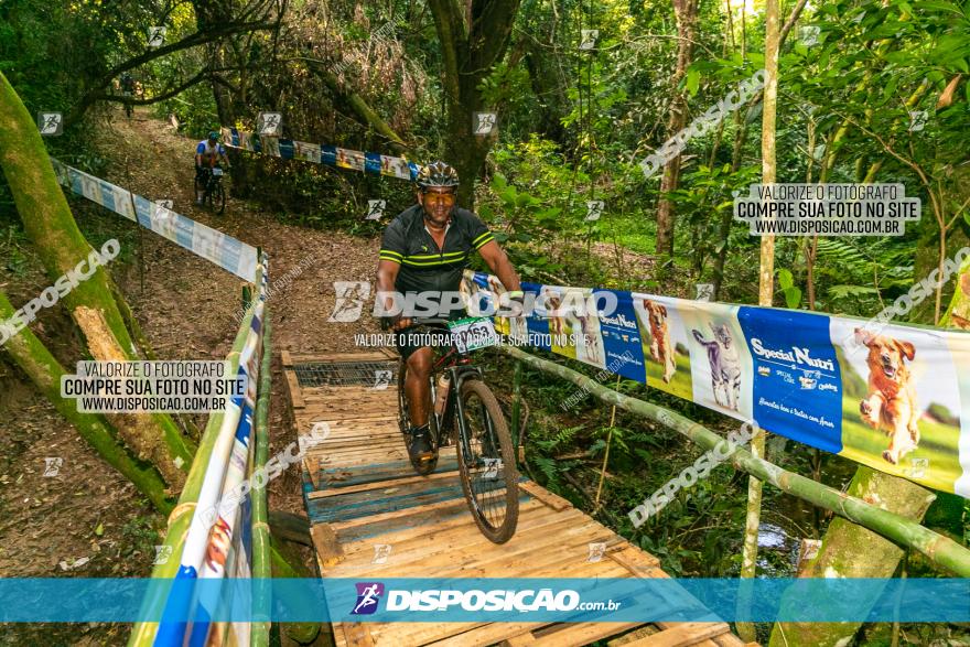 Circuito AEJ de Mountain Bike 2022